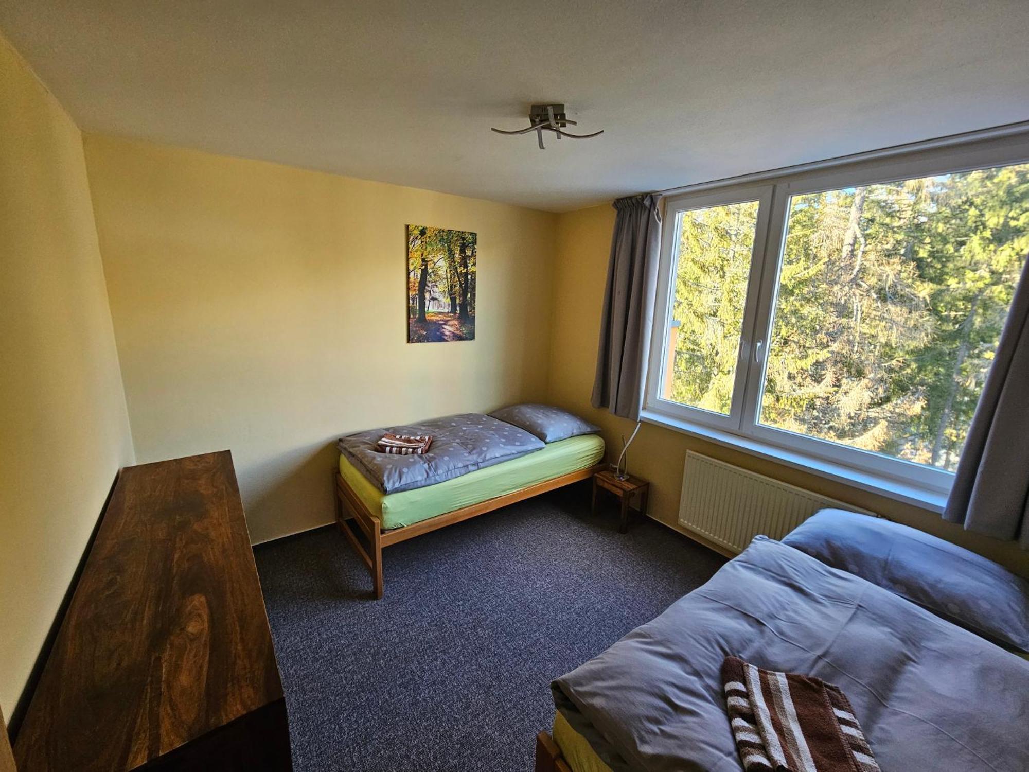 Strbske Pleso Smrek Penthouse Apartment Εξωτερικό φωτογραφία